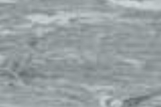 Liuni SpA Pavimenti vinilici direzionali POLYFLOR STANDARD - 4