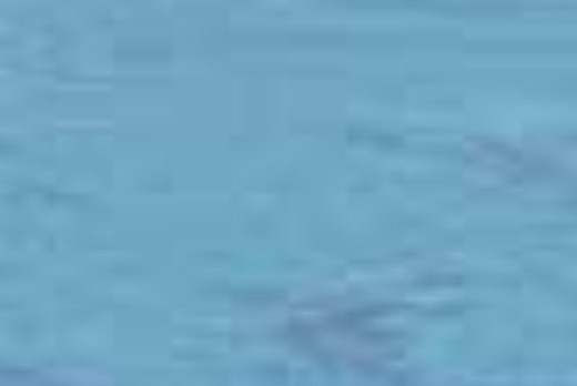 Liuni SpA Pavimenti vinilici direzionali POLYFLOR STANDARD - 5