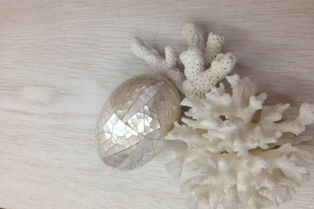 PARQUET / PAVIMENTI IN LEGNO (grigio) - 4