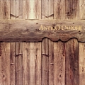 ANTICO CADORE SRL - 5