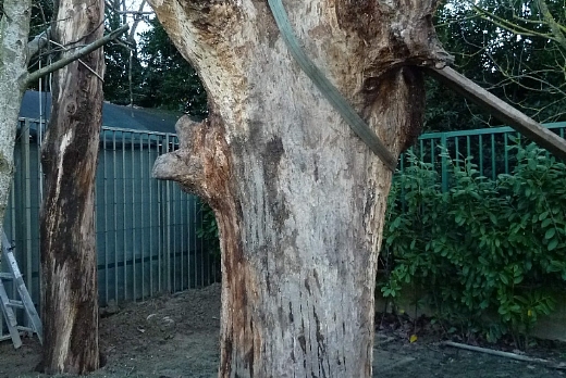 Legno Antico CHALET SULL