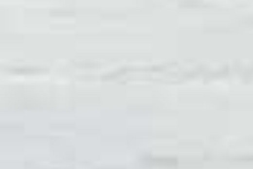 Liuni SpA Pavimenti vinilici direzionali POLYFLOR XL PU AS - 2