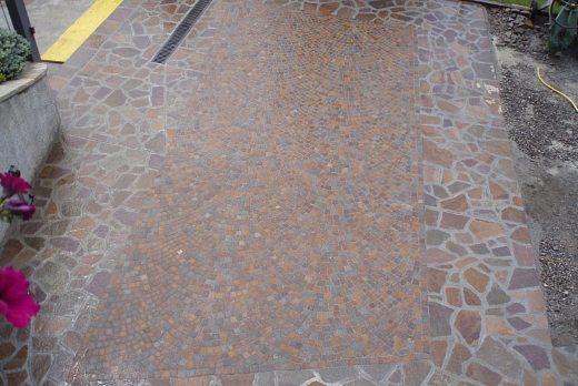 Picaprede di Darkin Maffi Picaprede - 5