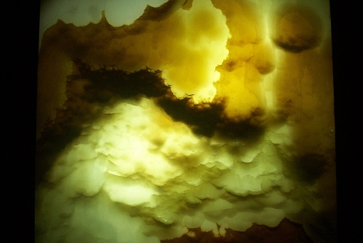 venature in evidenza retroilluminando la parete in onice