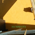 TECNOSINTEX: rivestimento spatolato con prevalenza di cemento ed effetto materico.