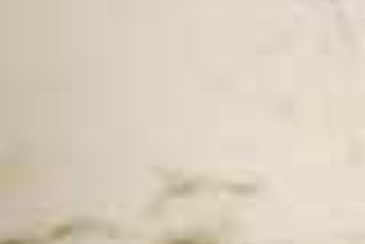 Liuni SpA Camaro Stone - 3