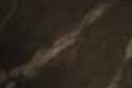 Liuni SpA Camaro Stone - 5