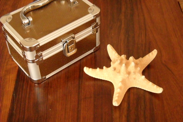 PARQUET / PAVIMENTI IN LEGNO (multicolore) - 2