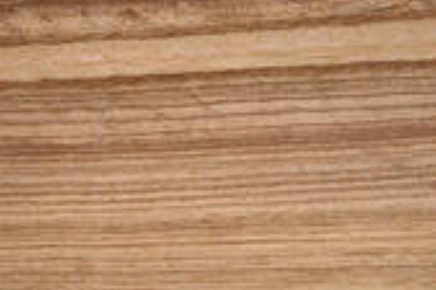 PARQUET / PAVIMENTI IN LEGNO (multicolore) - 3