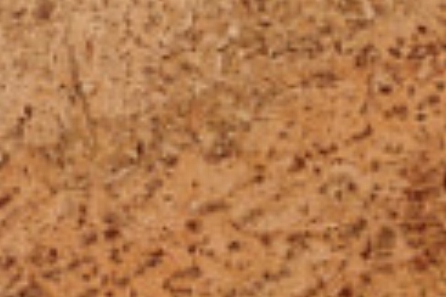 PARQUET / PAVIMENTI IN LEGNO (ciliegio) - 8