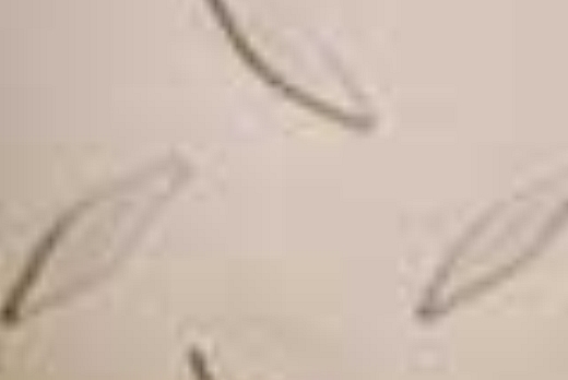 Liuni SpA Camaro Stone - 9