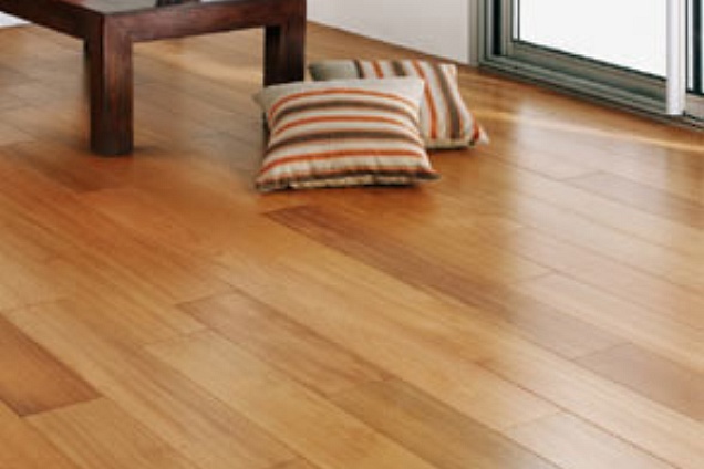 PARQUET / PAVIMENTI IN LEGNO (multicolore) - 1