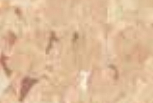 Liuni SpA Pavimenti vinilici non direzionali  PRESTIGE PUR - 4