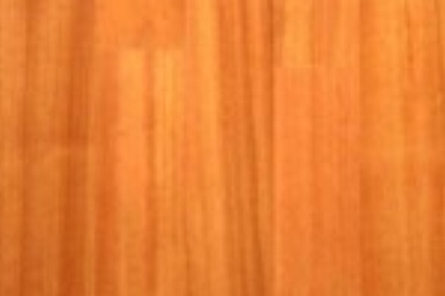 PARQUET / PAVIMENTI IN LEGNO (multicolore) - 1