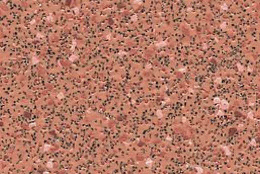 Liuni SpA Pavimenti vinilici antiscivolo POLYSAFE CORONA PUR - 8