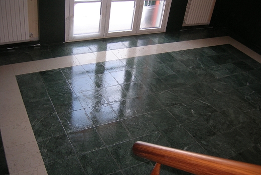 Tartuca Service di Flavio Caminada Pavimento in Verde Serpentino - 6