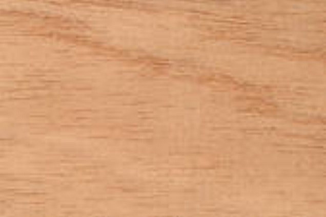 PARQUET / PAVIMENTI IN LEGNO (multicolore) - 3