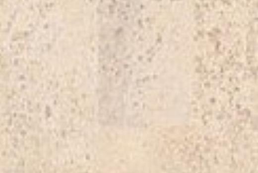 Liuni SpA CORK COMFORT HPS GD - 8