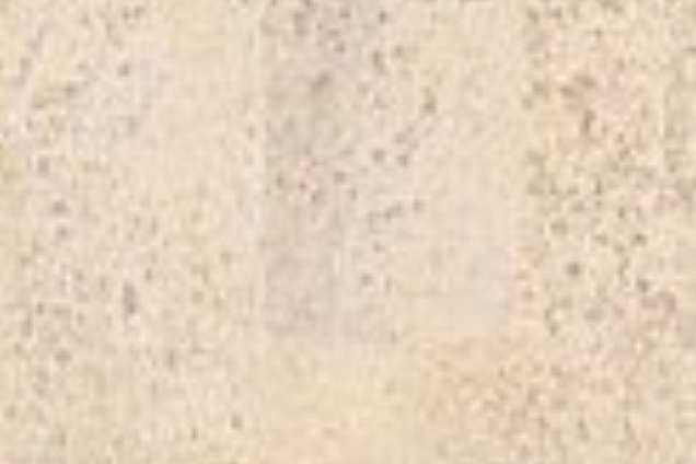 PARQUET / PAVIMENTI IN LEGNO (ciliegio) - 8