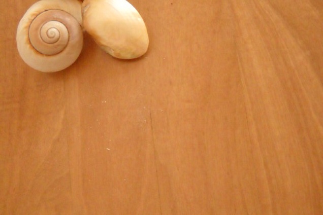 PARQUET / PAVIMENTI IN LEGNO (multicolore) - 4