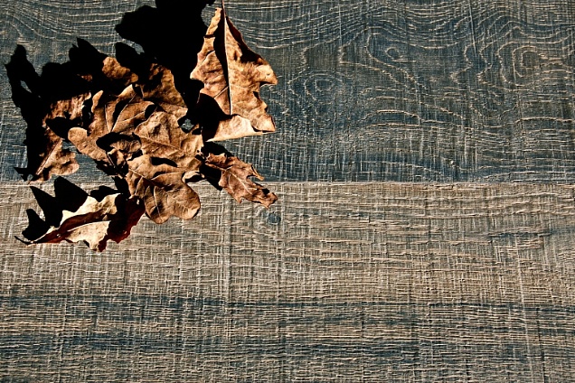 VILLA CORNARO ( collezione LE VILLE PALLADIANE)