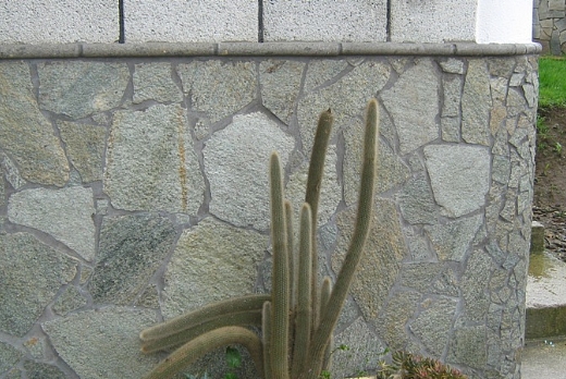 DER.CIN. PORFIDI SRL opera incerta o piastrelle regolari - 6