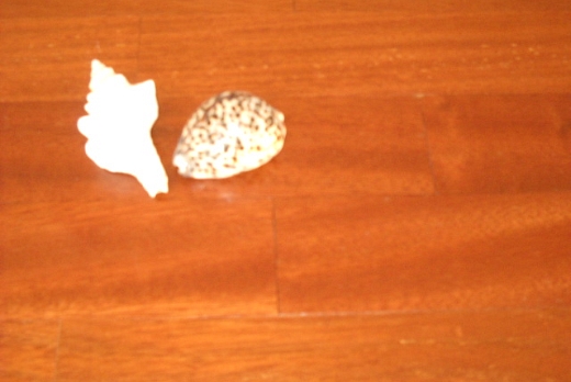 SoloParquetAfricano AKASSA  *******   ESSA   ***********    DANTA*** - 3