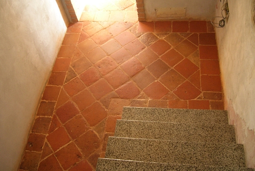 Tartuca Service di Flavio Caminada Cotto antico trattamenti - 4