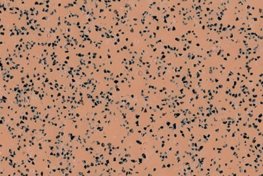 Liuni SpA Pavimenti vinilici antiscivolo POLYSAFE STANDARD - 9