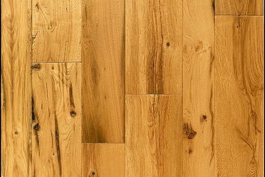 Palazzo Morelli QUERCIA ANTICA - 2