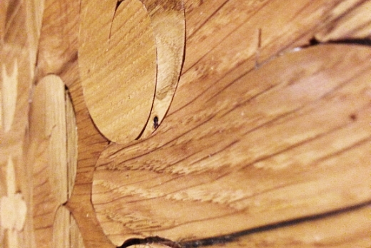 A P I - Antichi Pavimenti Italiani Pavimento in legno antico - Modello TIEPOLO - 4