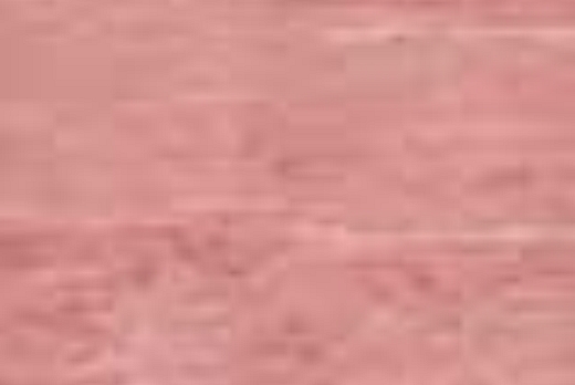 Liuni SpA Pavimenti vinilici direzionali POLYFLOR XL PU AS - 9