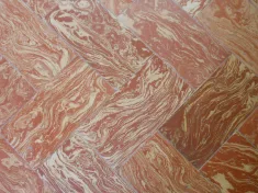 Variegati - Medone Lombardo — immagine 6 di 9