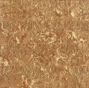 Variegati - Medone Lombardo — immagine 7 di 9