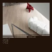 Michelangelo — immagine 2 di 4