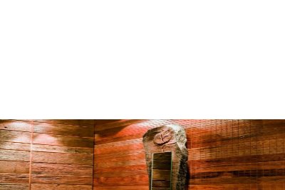 Rivestimento Parete in teak antico