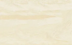 Pavimenti vinilici direzionali POLYFLOR STANDARD — immagine 9 di 9