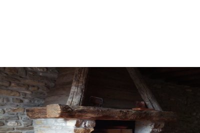 Ollari Trattamenti