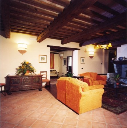 COTTO CHITI — MOTTI PAOLO E NICOLA SRL