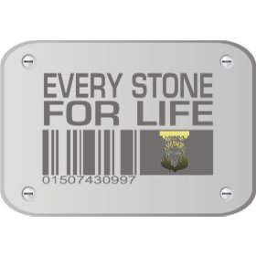 Logo EVERY STONE FOR LIFE