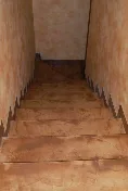 Logica Spatolato — immagine 2 di 2
