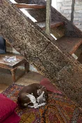 Pavimenti Antichi Originali — immagine 1 di 7