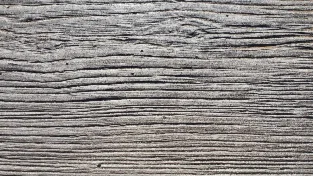 Laguna effetto Legno  30x45 — immagine 2 di 5