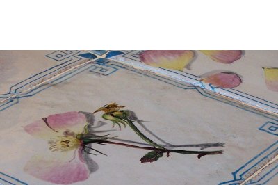 Pavimenti maiolicati con Petali di Rosa