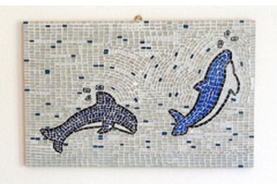 delfini