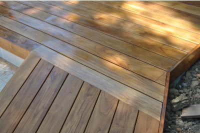 Teak
