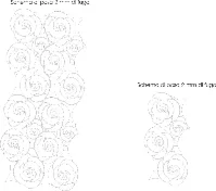 Garden Live — immagine 3 di 3