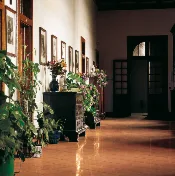 Cotto Levigato Lucido — immagine 1 di 4