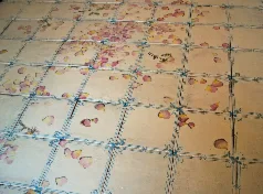 Pavimenti maiolicati con Petali di Rosa — immagine 7 di 8