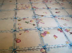 Pavimenti maiolicati con Petali di Rosa — immagine 8 di 8